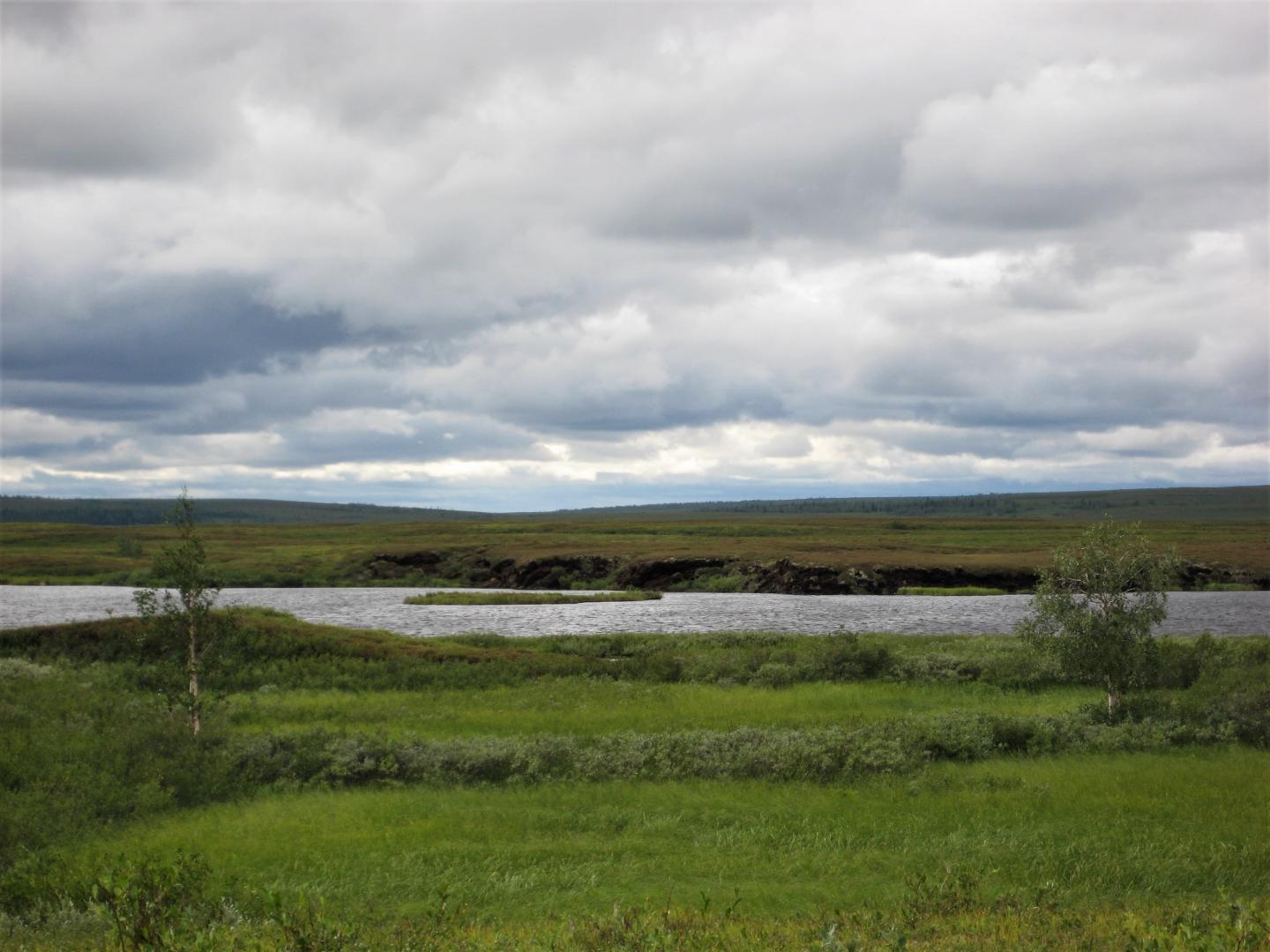 Western Russian Tundra