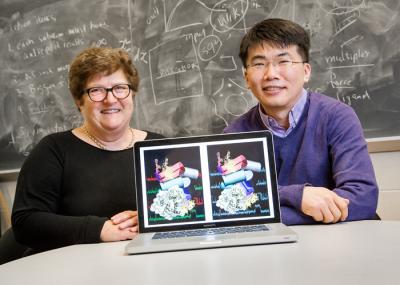 Early Stages of Ribosome Assembly