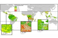Worldwide Carbon Emissions Due to Fragmentation of Tropical Forests