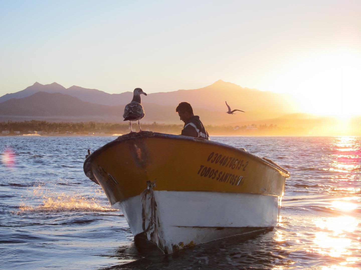 In Small Fishing Communities, Marine Protected Areas May Produce Changes in Group Behavior (3 of 9)