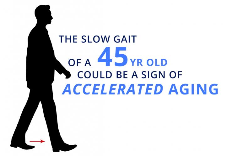 Gait Speed and Aging