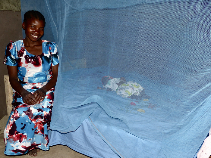 'Mosquito grounding bed net nearly halves malaria infection in Tanzanian children
