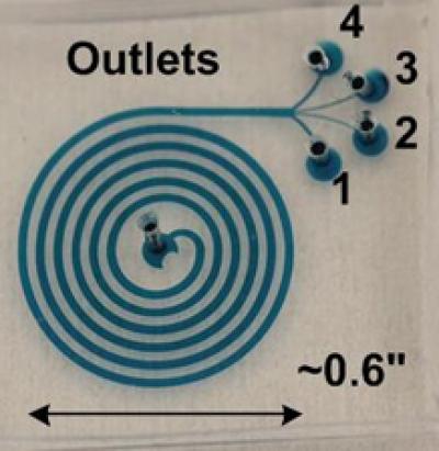 Microfluidic Device with Spiral Microchannels (1 of 2)