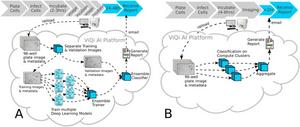 A rapid, high-throughput, viral infectivity assay using automated brightfield microscopy with machine learning