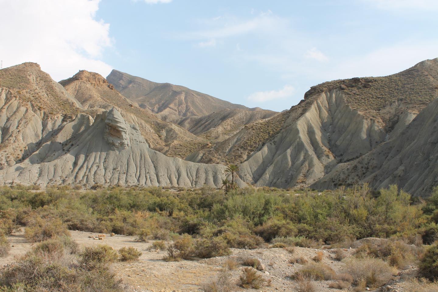 Tabernas Desert