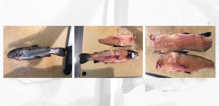 Food -- Fish Composite