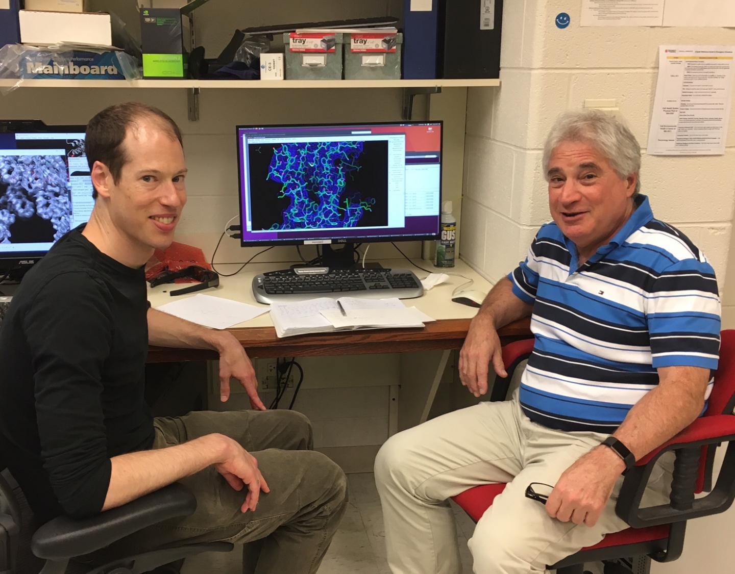 Indestructible Virus Yields Secret to Creating Super-Durable Materials (1 of 2)