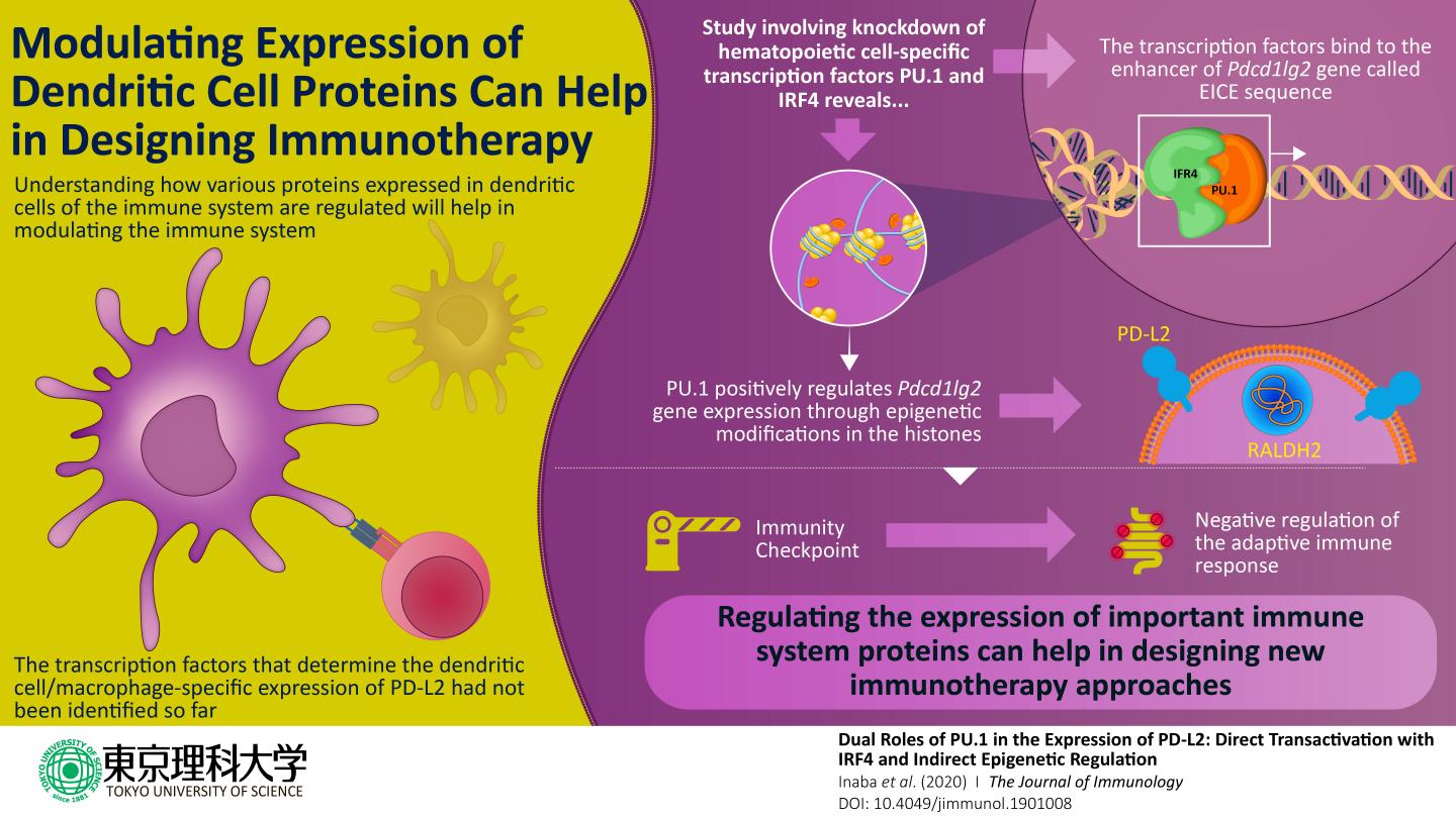 Immune Checkpoint Protein