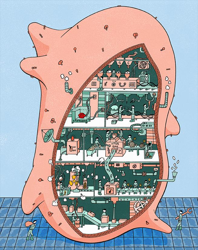 Global Analysis of Gene Essentially Patterns Uncovered Correlations between Functionally Related Set