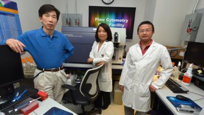 Dr. Yukai He, Medical College of Georgia and Georgia Regents University Cancer Center