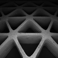 3-D Printed Lightweight Honeycombs
