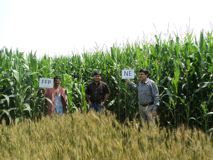 A plant-based approach to crop nutrition outperformed more generalized methods