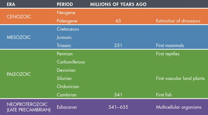 Geological Chart