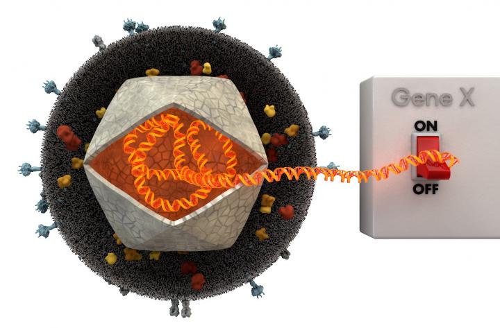 Model: Concept of Gene Therapy
