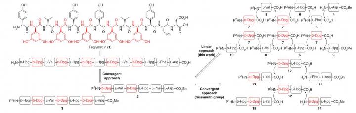 Comparison of Synthetic Strategies toward the Total Synthesis of Feglymycin