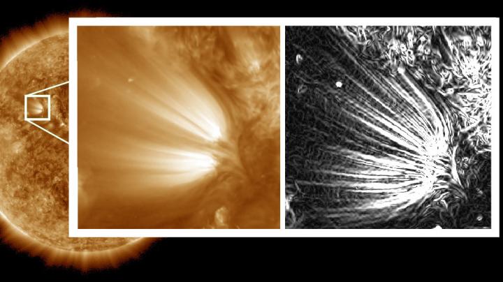 Sun image processed to reveal 'plumelets'