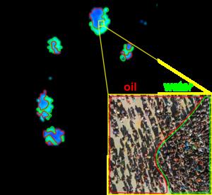 Phase Separation