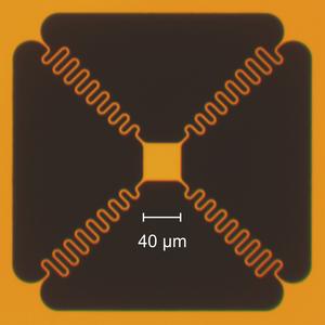 A Tethered Miniature Lightsail