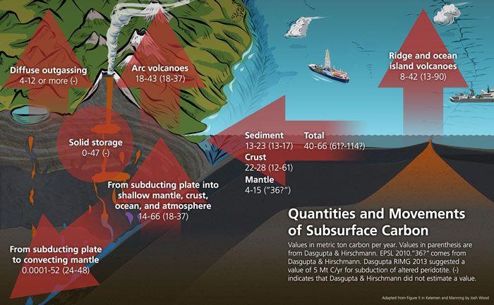Major Fluxes of Carbon