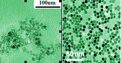 Nanoparticles of Magnetite
