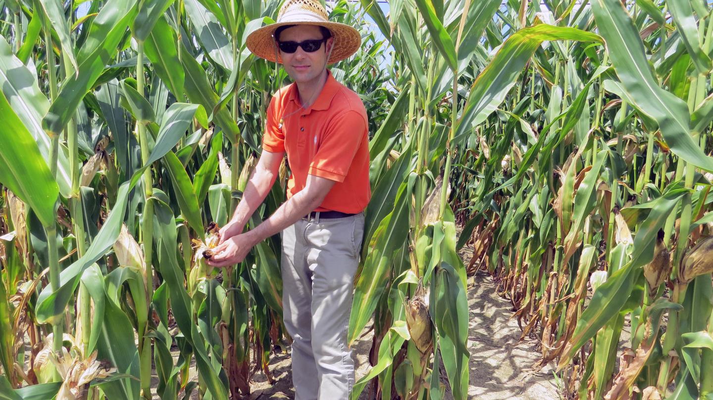 Francis Reay-Jones, Clemson University