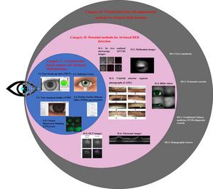 AI-based DED detection method classifications