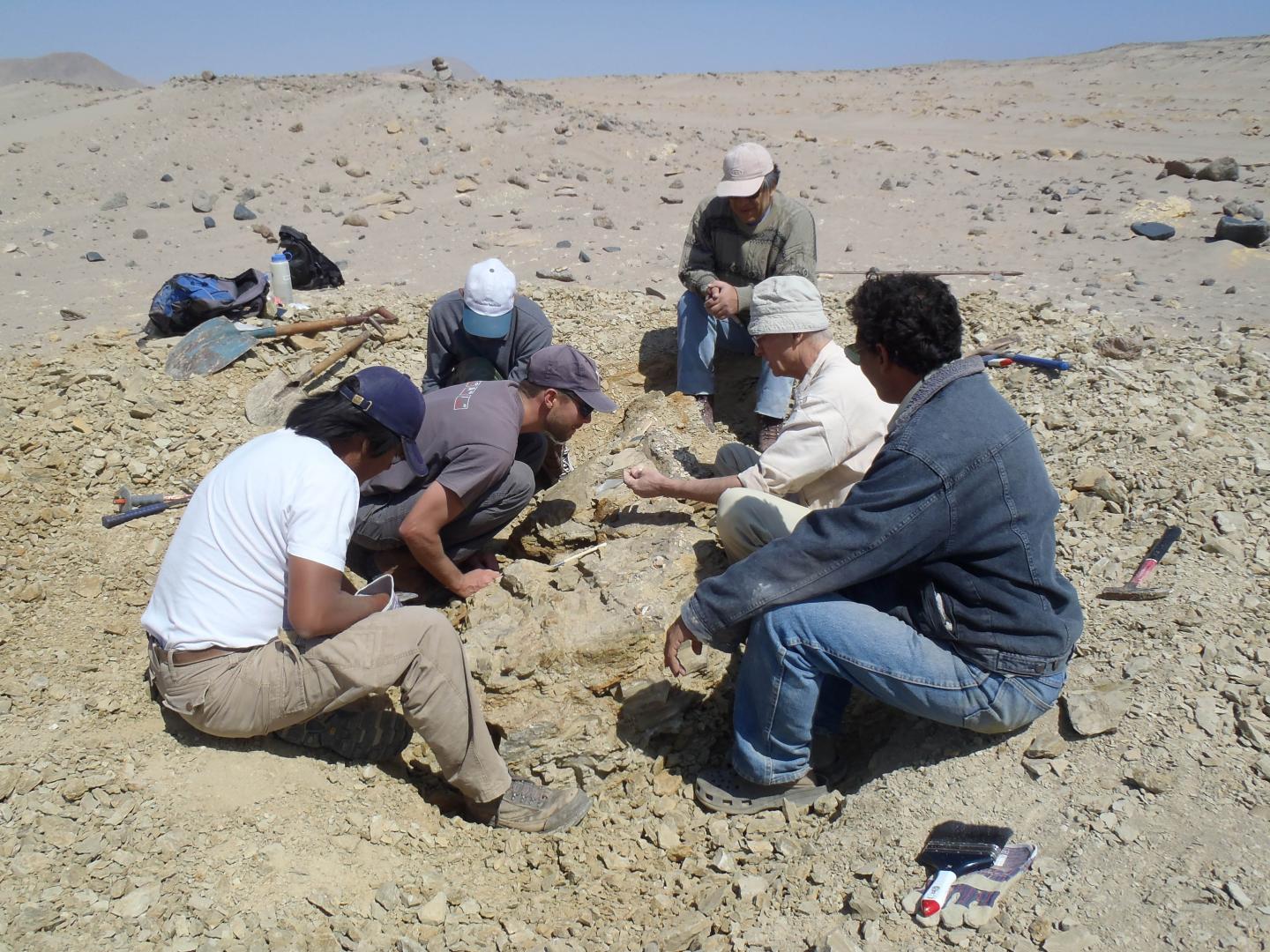 Another View of the Excavation [IMAGE] | EurekAlert! Science News Releases