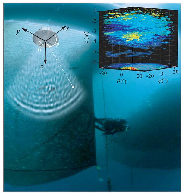 Fish scattering sound waves has impact on aqu