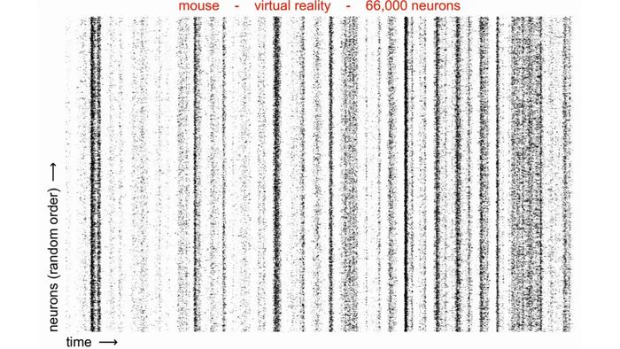 A video showing Rastermap applied to different types of large-scale neural data.