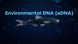 Environmental DNA