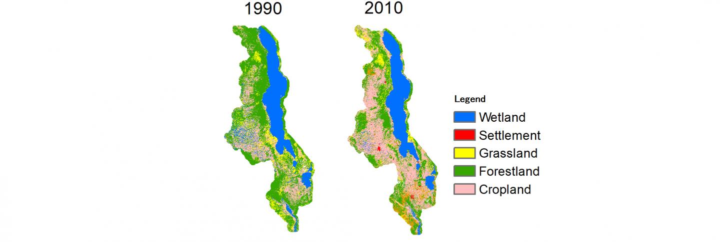 Satellite Image of Malawi Showcasing Deforestation throughout the Last 20 Years