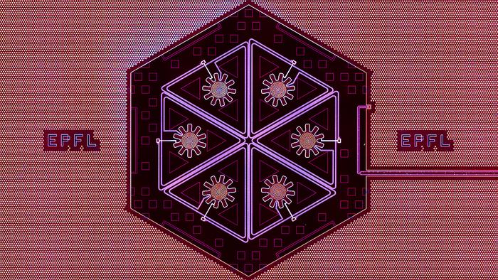 A hexamer of macroscopic mechanical oscillators for studying quantum collective phenomena.