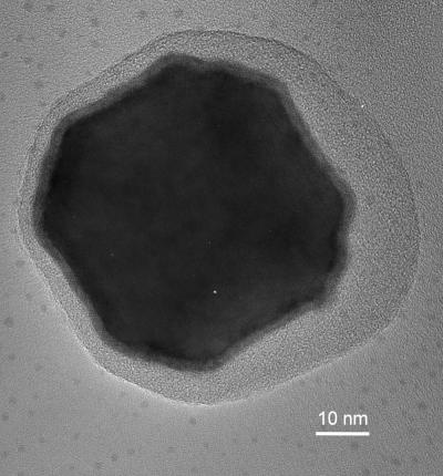 Magnetic Nanoparticle