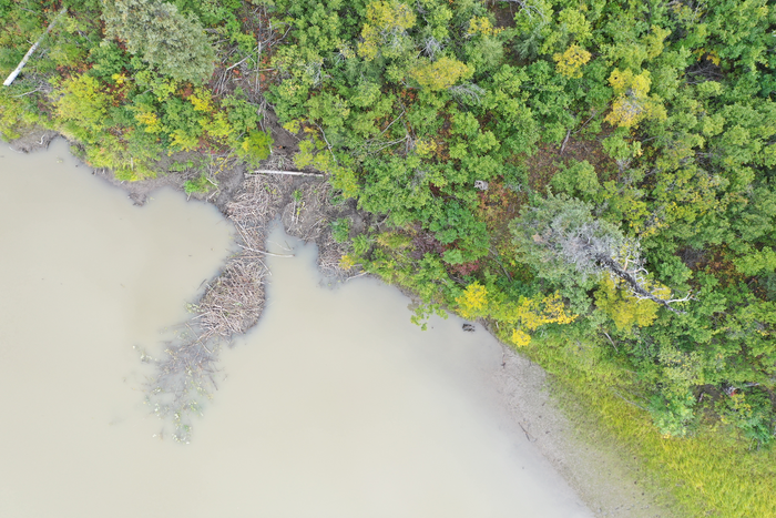 Aerial image of beaver lodge