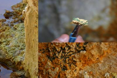 The Saline Hiding Places for Bacteria in Río Tinto Could Be like Those on Mars