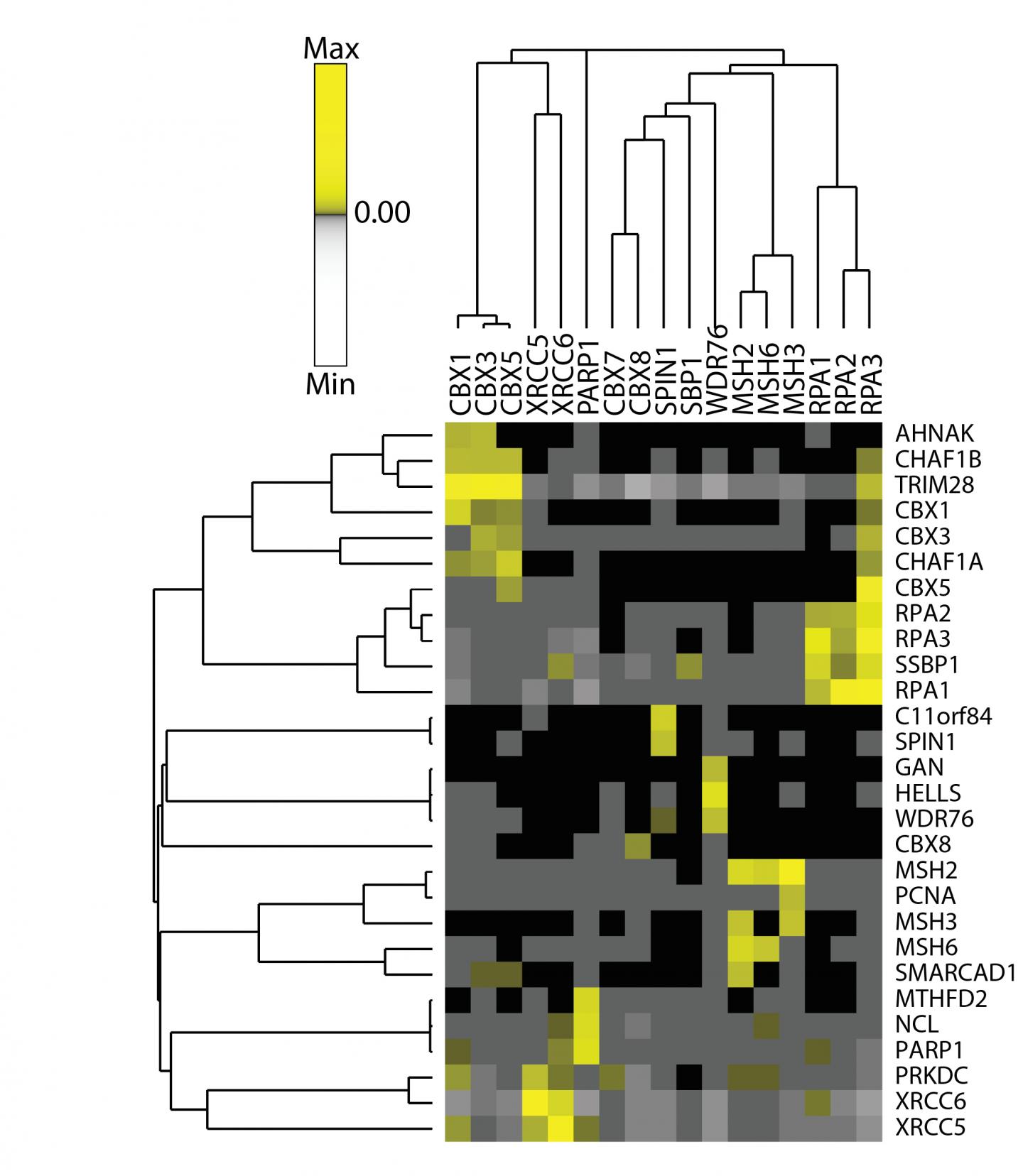 Cluster Map