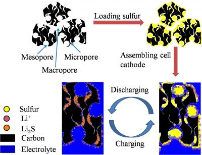 Structure of Porous Carbon, Sulfur Dispersion and Electrochemical Reaction Process