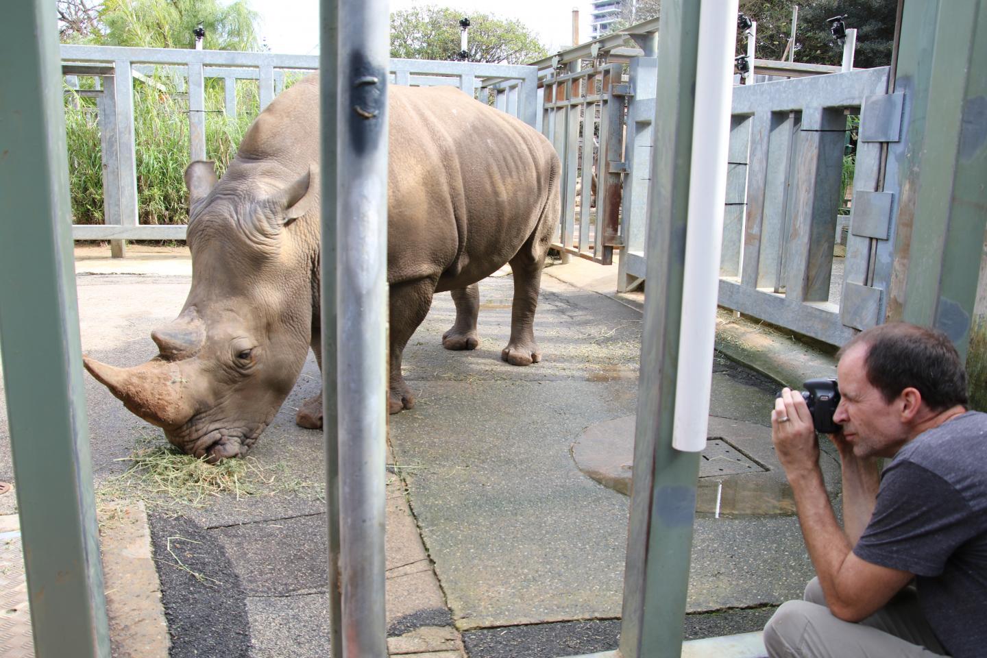 Bakari the Southern White Rhino with Duncan Irschick