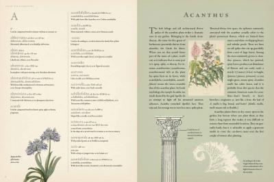 Sample Pages from Latin for Gardeners