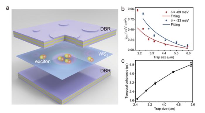 Controllable nonlinearity and coherence of polaritons in monolayer TMDs mesa cavities