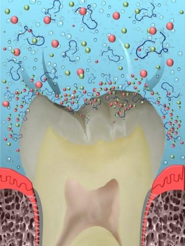 Tooth Repair Art