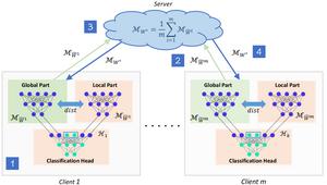 The FecMap model trained in an iterative manner