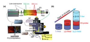 SLD-PAM system and sensitivity improvement