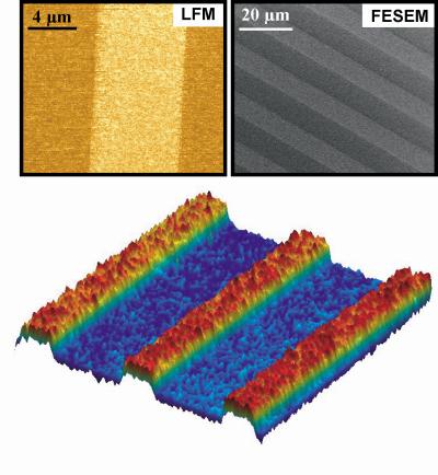 Creating Multifunctional Surfaces