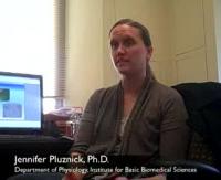 Jen Pluznick Speaks About Olfactory Receptors in the Kidney