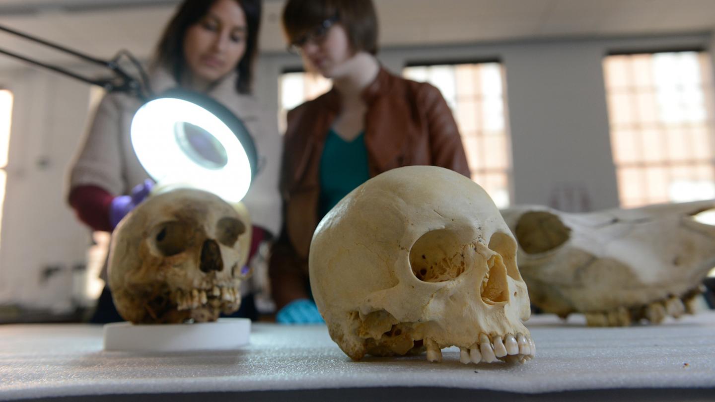 Examining Human Remains