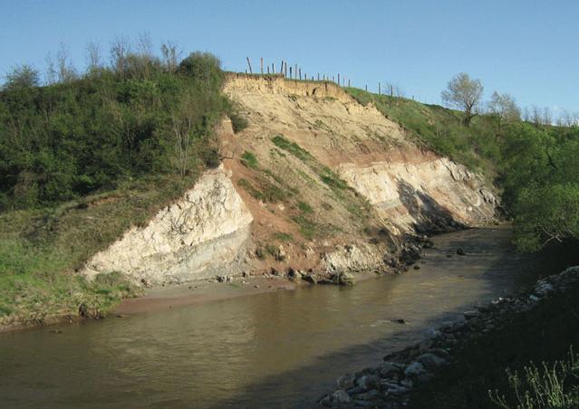 Prehistoric Nesting Site