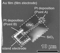 Scann Electron Microscope Image of Resistivity-Measuring Electrical Circuit