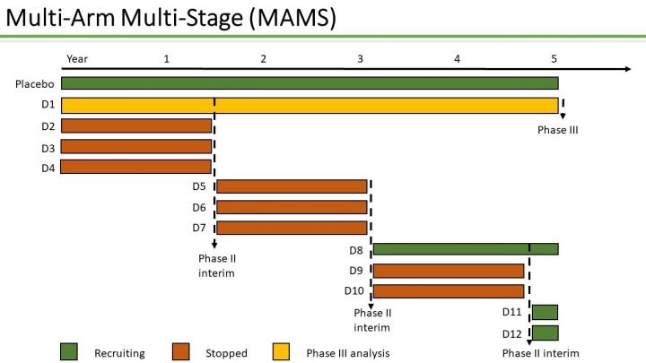 Multi-Arm Multi Stage  (MAMS)