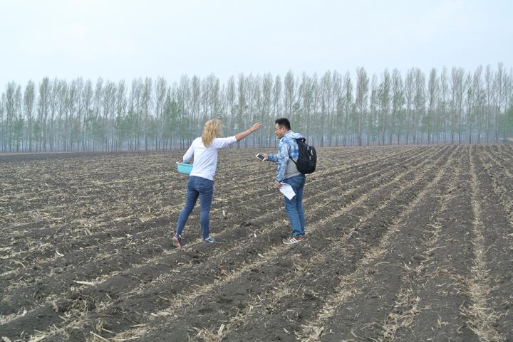 Crop Fields in Heilongjiang, China